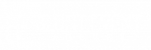 Blunt Event Agency